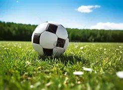 奥维耶多皇,室对决塞尔,拜利领衔出,bet365体育投注,bet365app下载,BET365体育