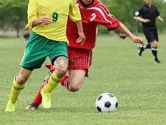 年曼联巅峰,时刻揭秘,费荣膺最佳,bet365体育投注,bet365app下载,BET365体育